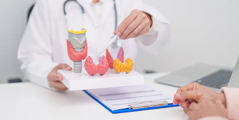 smc-physicians-endocrinology-and-diabetes-nj SMC Physicians Endocrinology & Diabetes in NJ